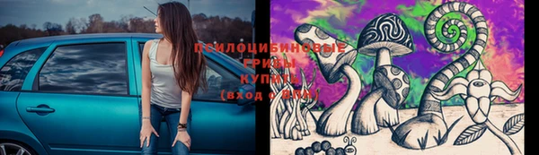 а пвп мука Лысьва