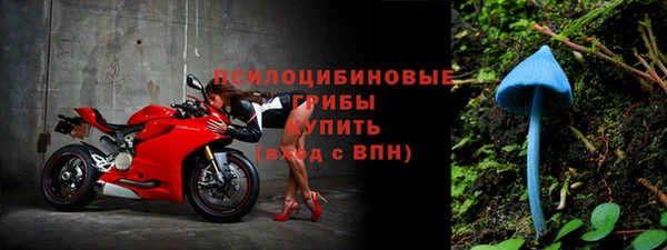 PSILOCYBIN Приозерск