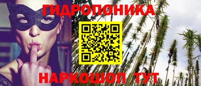 прущая мука Гусев