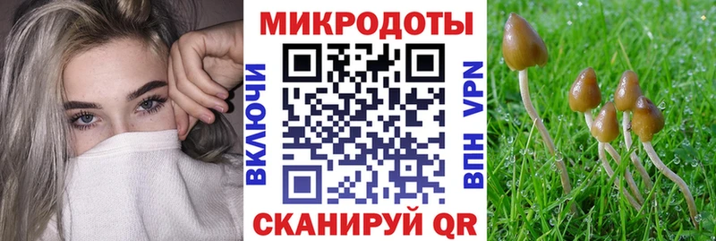 Псилоцибиновые грибы мицелий  Сосновый Бор 
