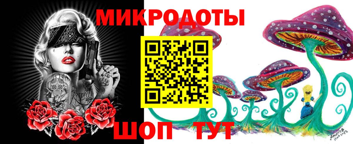 Галлюциногенные грибы мухоморы Сосновый Бор