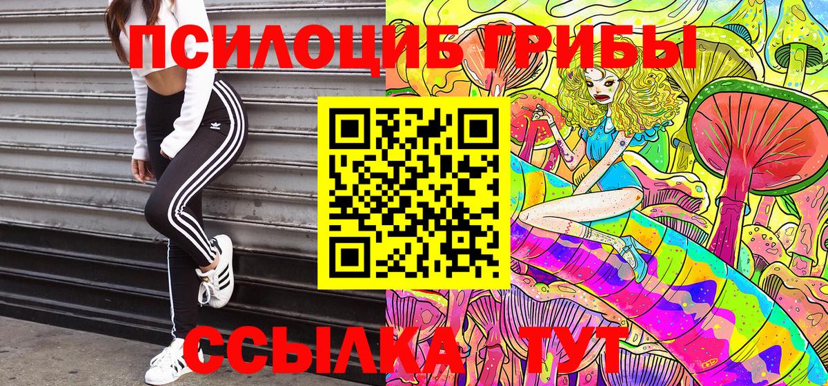 где продают   Псилоцибиновые грибы мухоморы  Вход с VPN  Галлюциногенные грибы Psilocybine cubensis  Сосновый Бор 