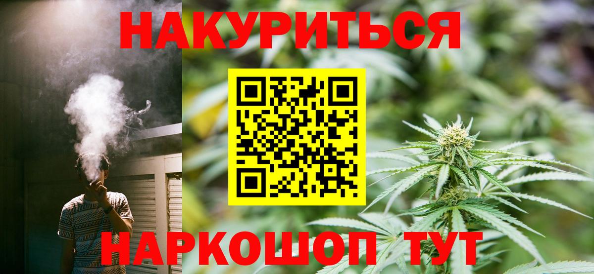 Бошки марихуана планчик  Каннабис сатива  Конопля MAZAR  Сосновый Бор  Вход с VPN 